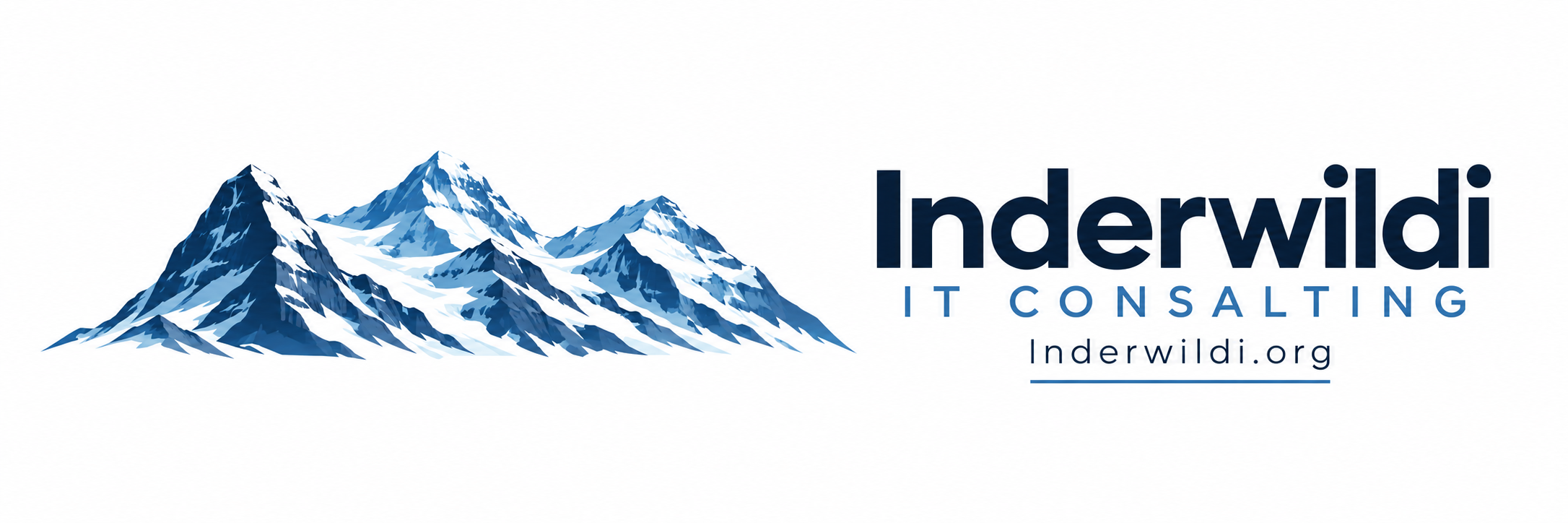 Inderwildi IT Consulting